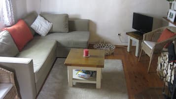 Flachbildfernseher, Kamin, Bücher