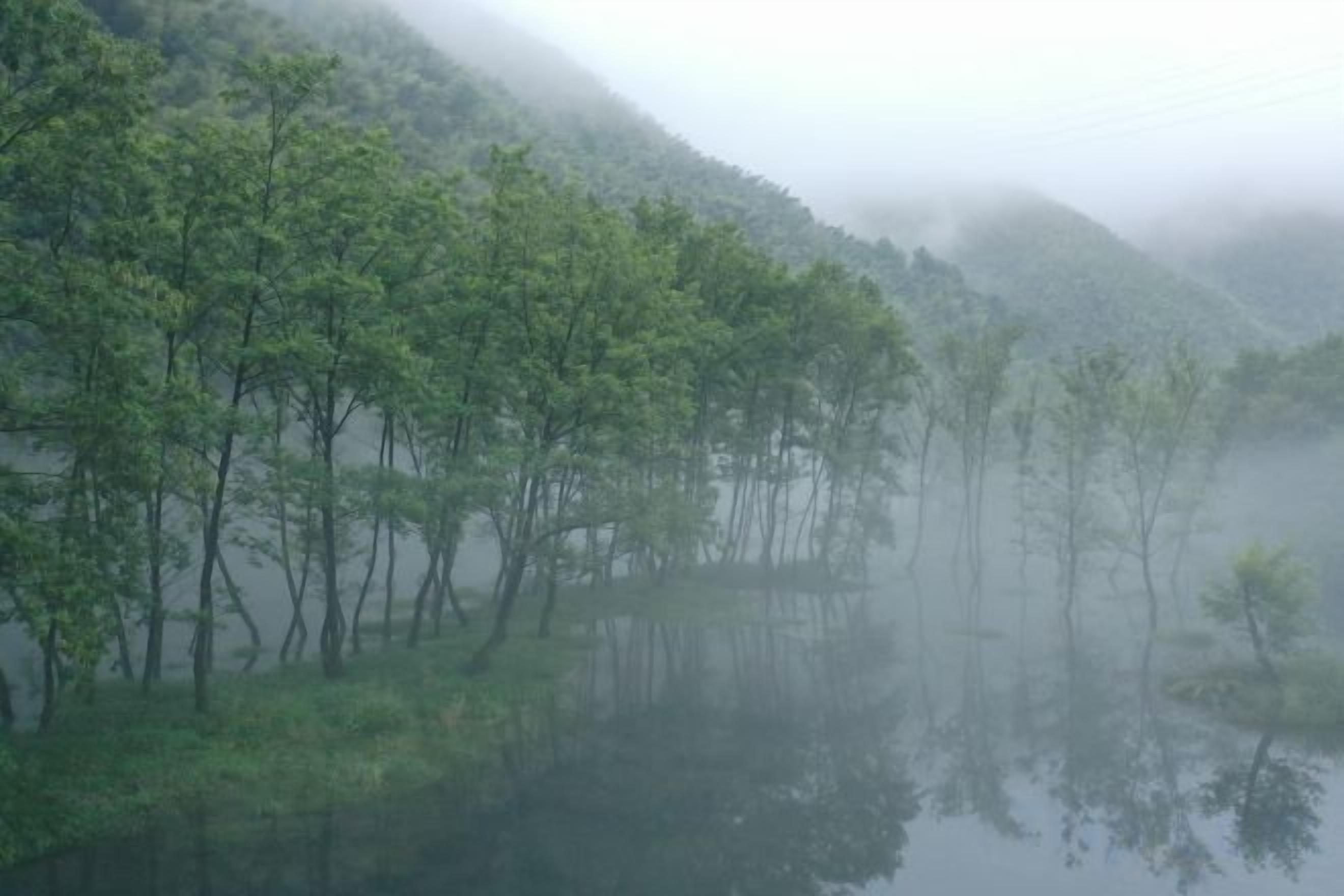 A misty landscape with trees reflecting on a calm body of water, surrounded by hills.
