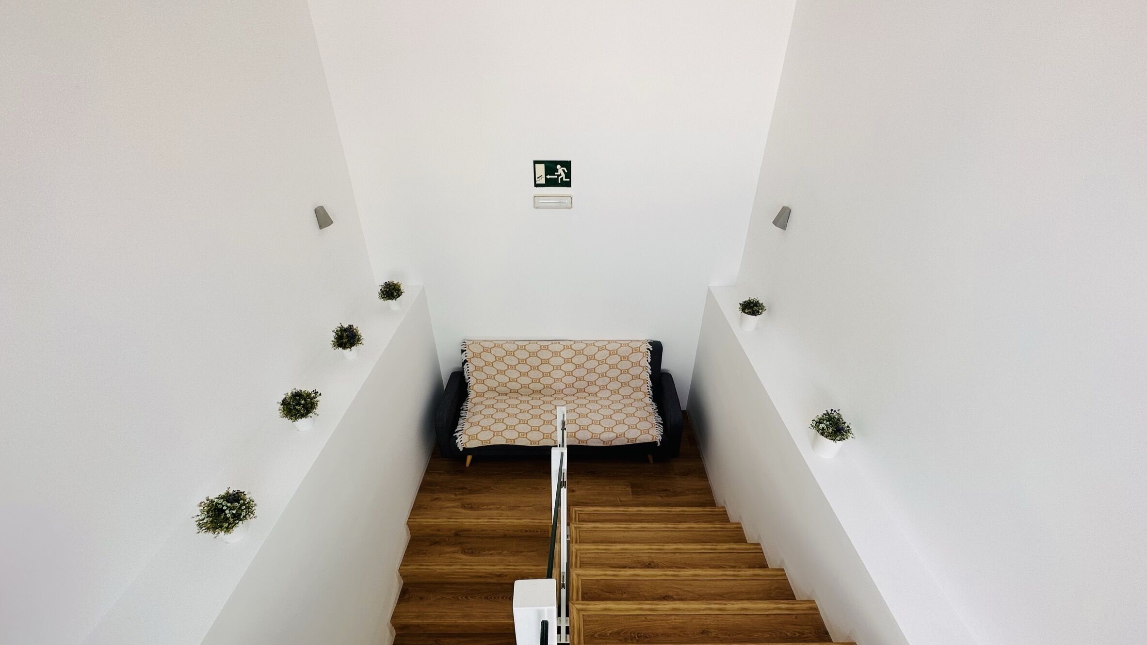 Un escalier avec une rampe, un coussin décoratif posé sur une chaise et de petites plantes en pot accrochées aux murs.