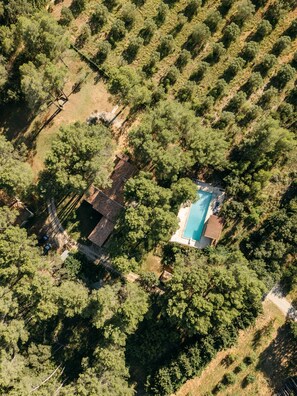 Exterior - Mas Frederi - Maison avec piscine pour 10 (Paradou)