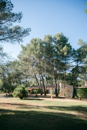 Property grounds - Mas Frederi - Maison avec piscine pour 10 (Paradou)