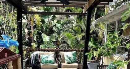 Downtown Tropical Studio