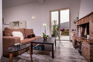 TV, fireplace, DVD player