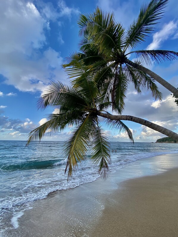 On the beach - Studio Ti iguane <br>Tartane   (Tartane)