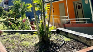 Un edificio residenziale con una facciata colorata, un piccolo giardino con palme e un cielo azzurro limpido.