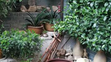 Variedad de plantas en macetas y herramientas de jardinería dispuestas frente a un muro de ladrillo.