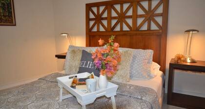 -20% Convenient Studio Queens Park Savannah Getway