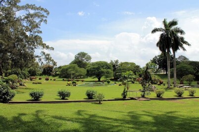 -20% Convenient Studio Queens Park Savannah Getway