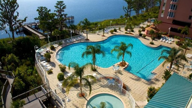 A large, curved swimming pool with a circular hot tub, surrounded by lounge chairs and palm trees, with a view of the sea and a dock in the background.