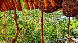 Property grounds - TreeHouse EcoChic/3 min walk beach/Wifi/AC/kitchen/King Size Bed (Isla Holbox)