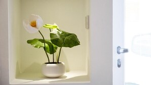 En hvid potteplante med en hvid blomst og grønne blade i et hvidt rum med en dør.