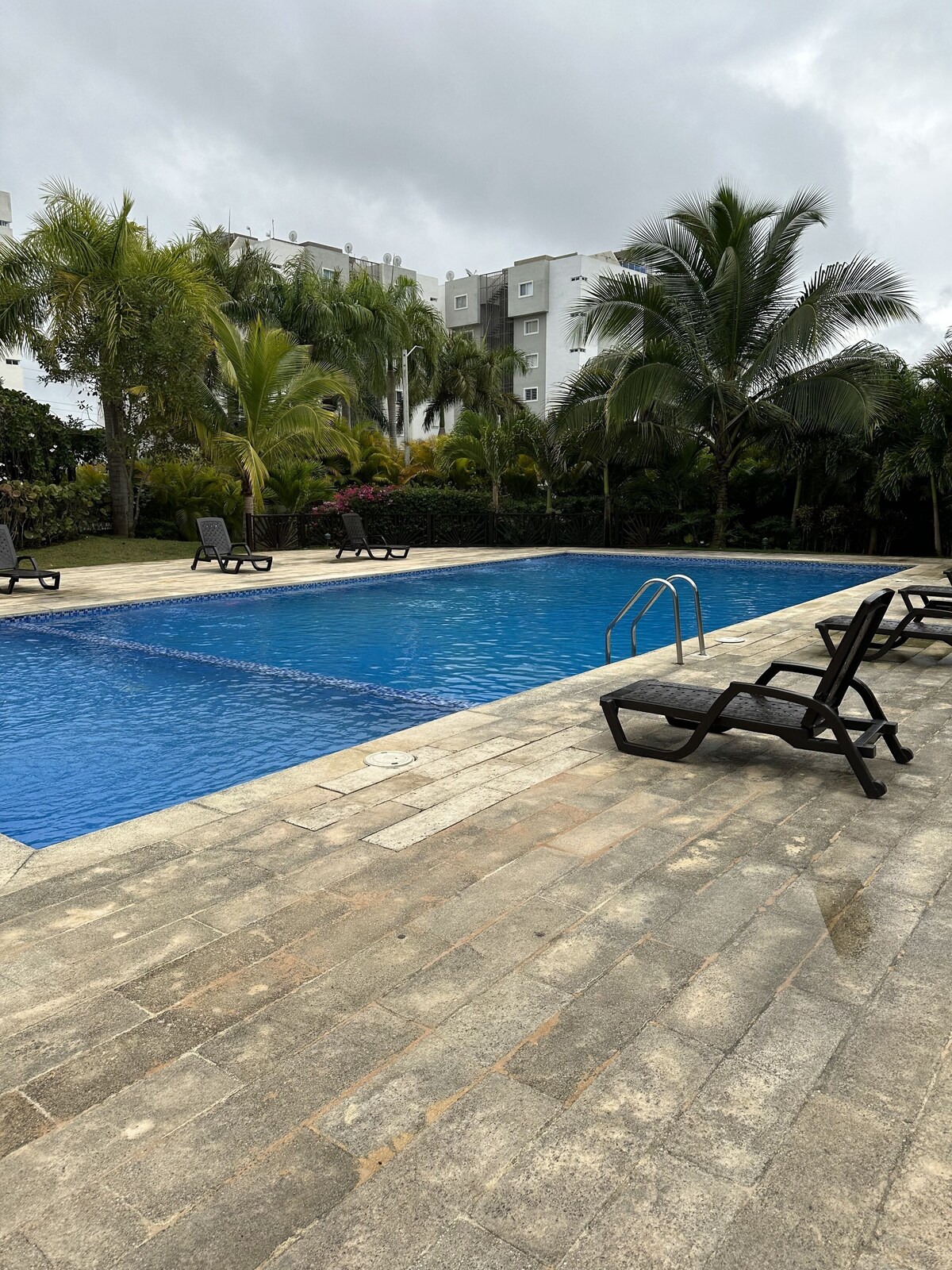 Imagen de perfil del propietario o de la propietaria