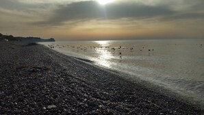 Una playa pedregosa con un mar tranquilo y un cielo nublado.