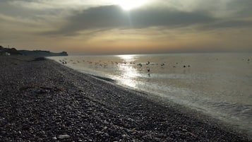 Playa