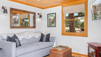 TV, fireplace, DVD player