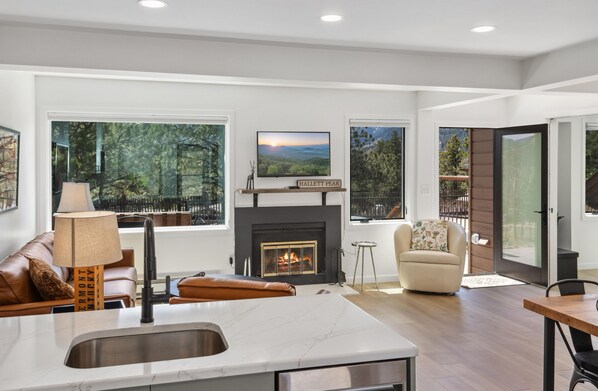 Smart TV, chimenea, reproductor de DVD y libros 