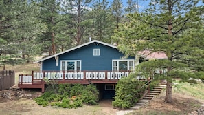 Une cabane bleue avec une terrasse, entourée d’arbres.