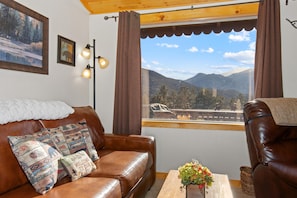 TV, fireplace, DVD player