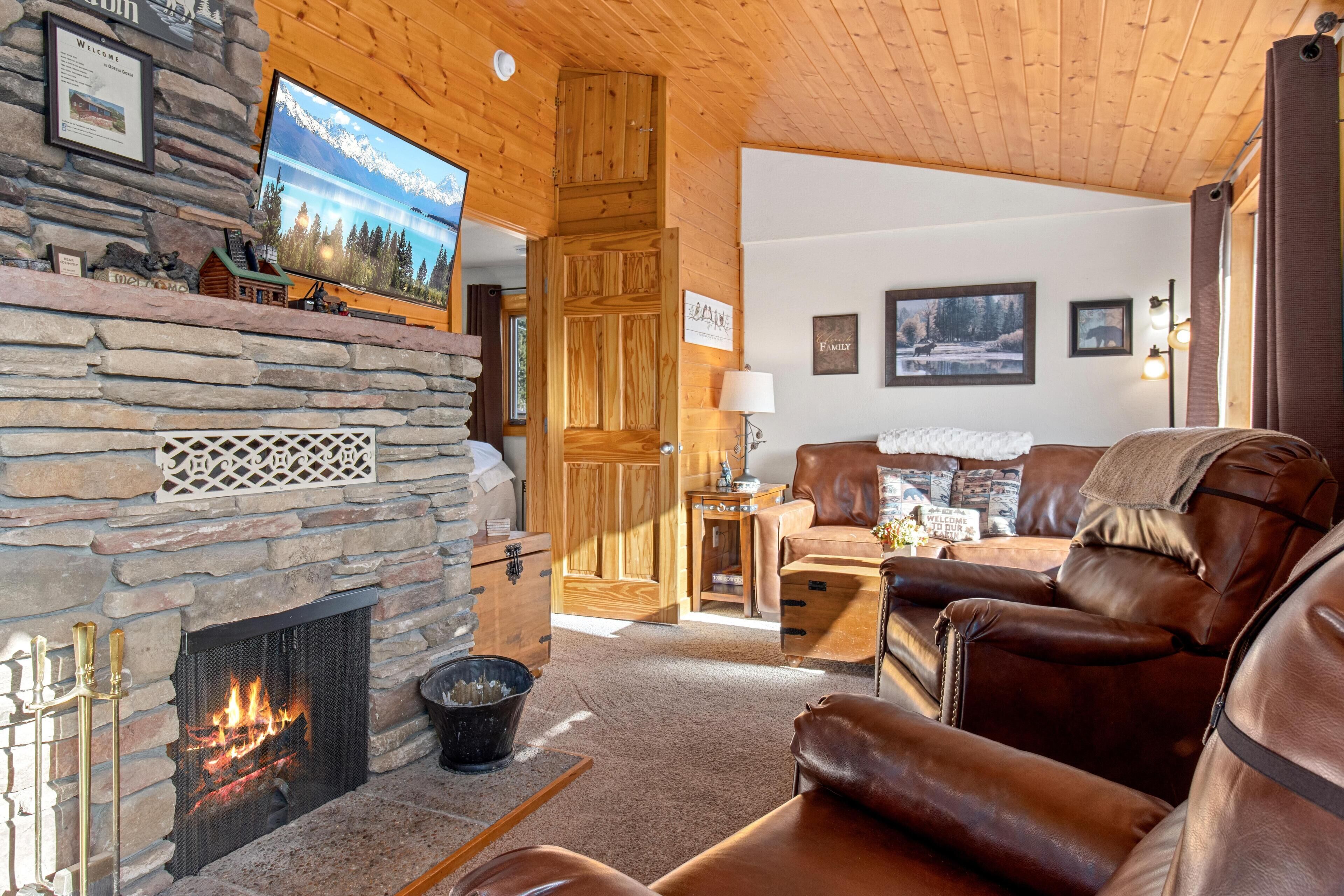 Télévision, cheminée, lecteur de DVD