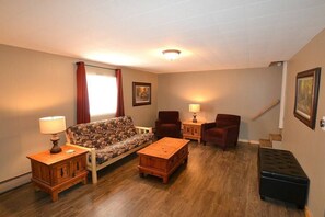 Televisión, chimenea y reproductor de DVD 