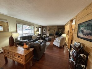 Televisión, chimenea y reproductor de DVD 