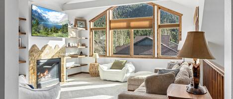 Télévision, cheminée, livres