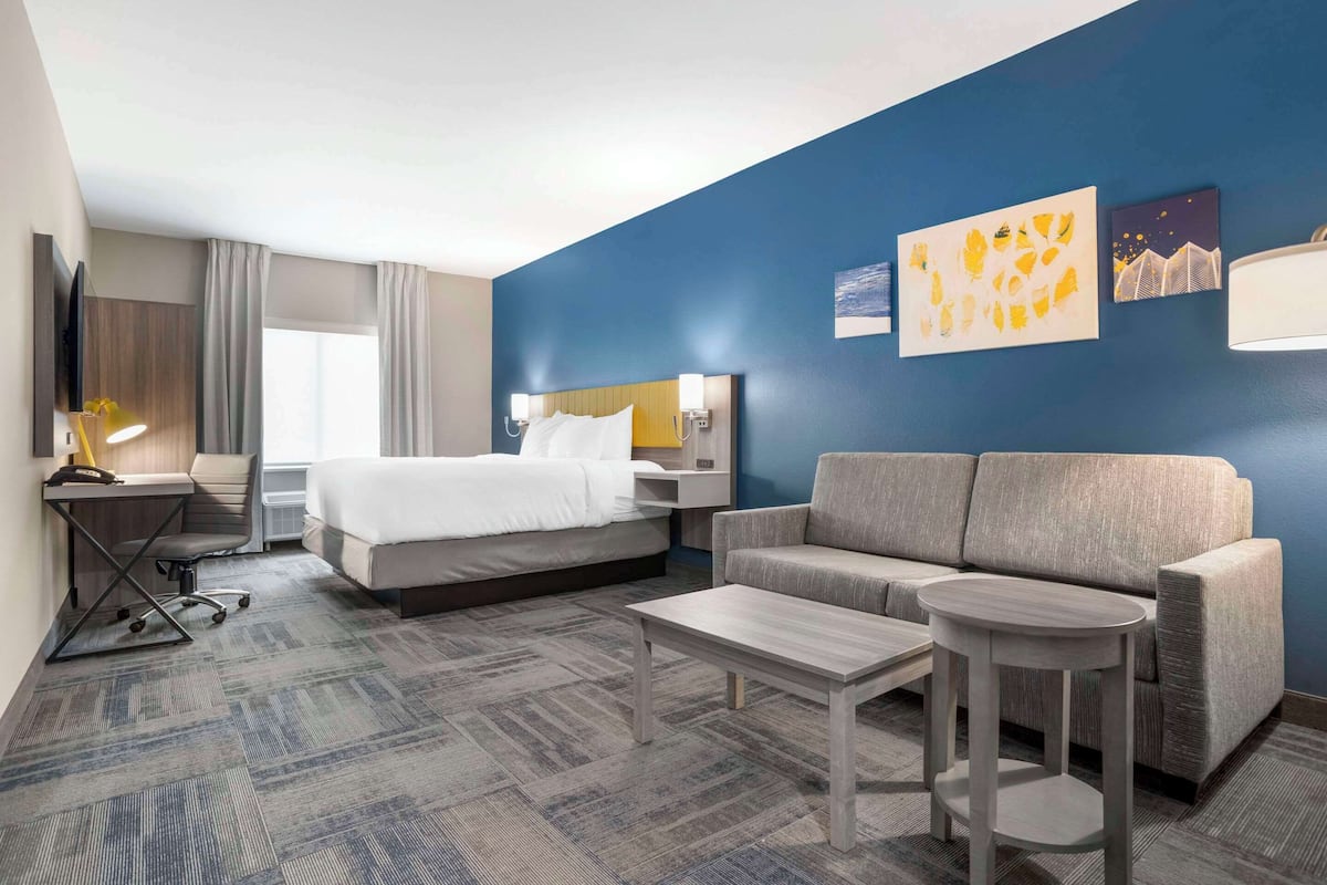 A hotel room with a bed, a sofa, a desk with a chair, a TV, and artwork on the wall.