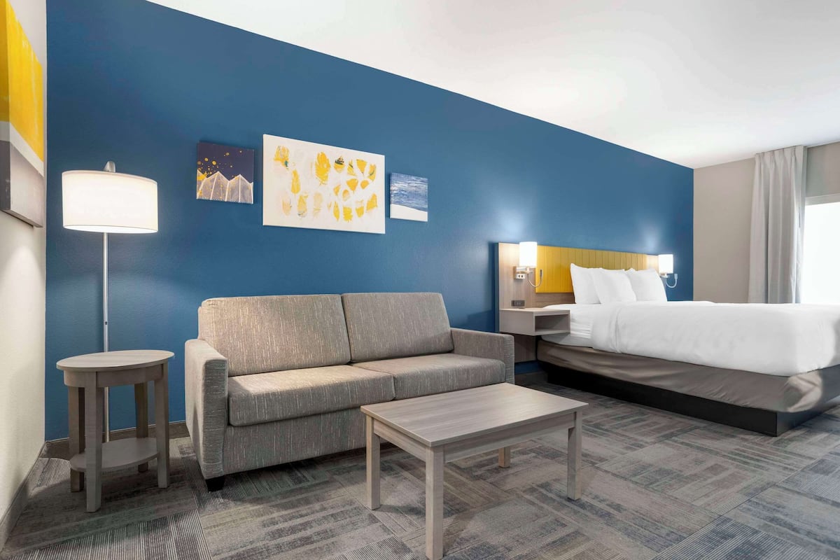 A hotel room with a blue accent wall, a sofa, a bed, a nightstand, a lamp, and artwork.