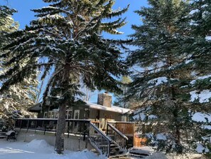 Un chalet au revêtement extérieur en bois, avec un escalier menant à l’entrée, et des arbres couverts de neige qui l’entourent.