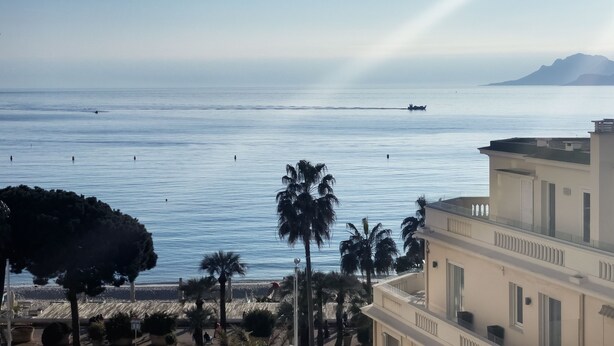 A coastal view with a calm sea, palm trees, and a building with balconies overlooking the water. - Apartment with Partial Sea View – Sunset – Cannes Croisette – Palais Miramar (Cannes)