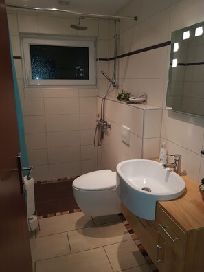 Shower, hair dryer, towels