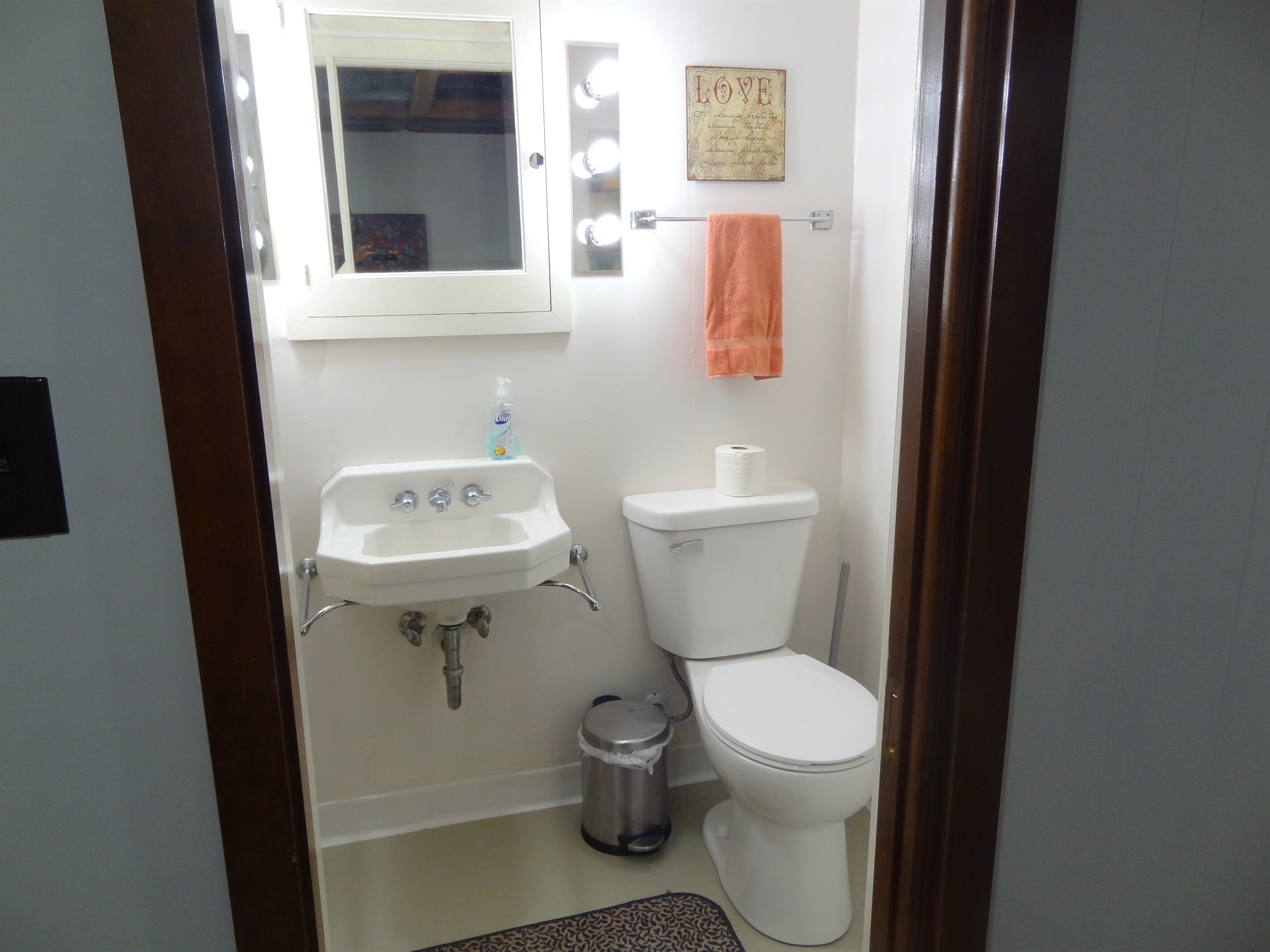 Downstairs bathroom with shower