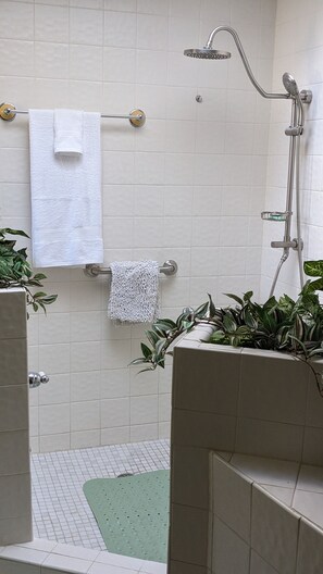 Shower, hair dryer, towels, soap