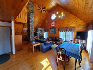 Smart TV, fireplace, DVD player, books