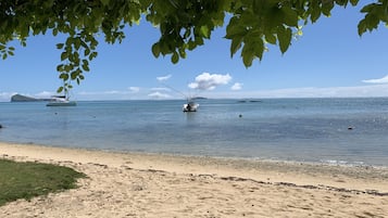 Plage à proximité, sable blanc, chaises longues, parasols