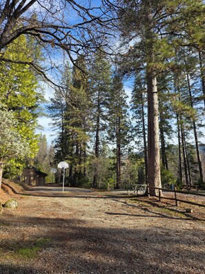 Pista de bàsquet