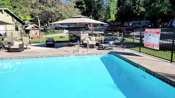 Seasonal outdoor pool, pool umbrellas, pool loungers