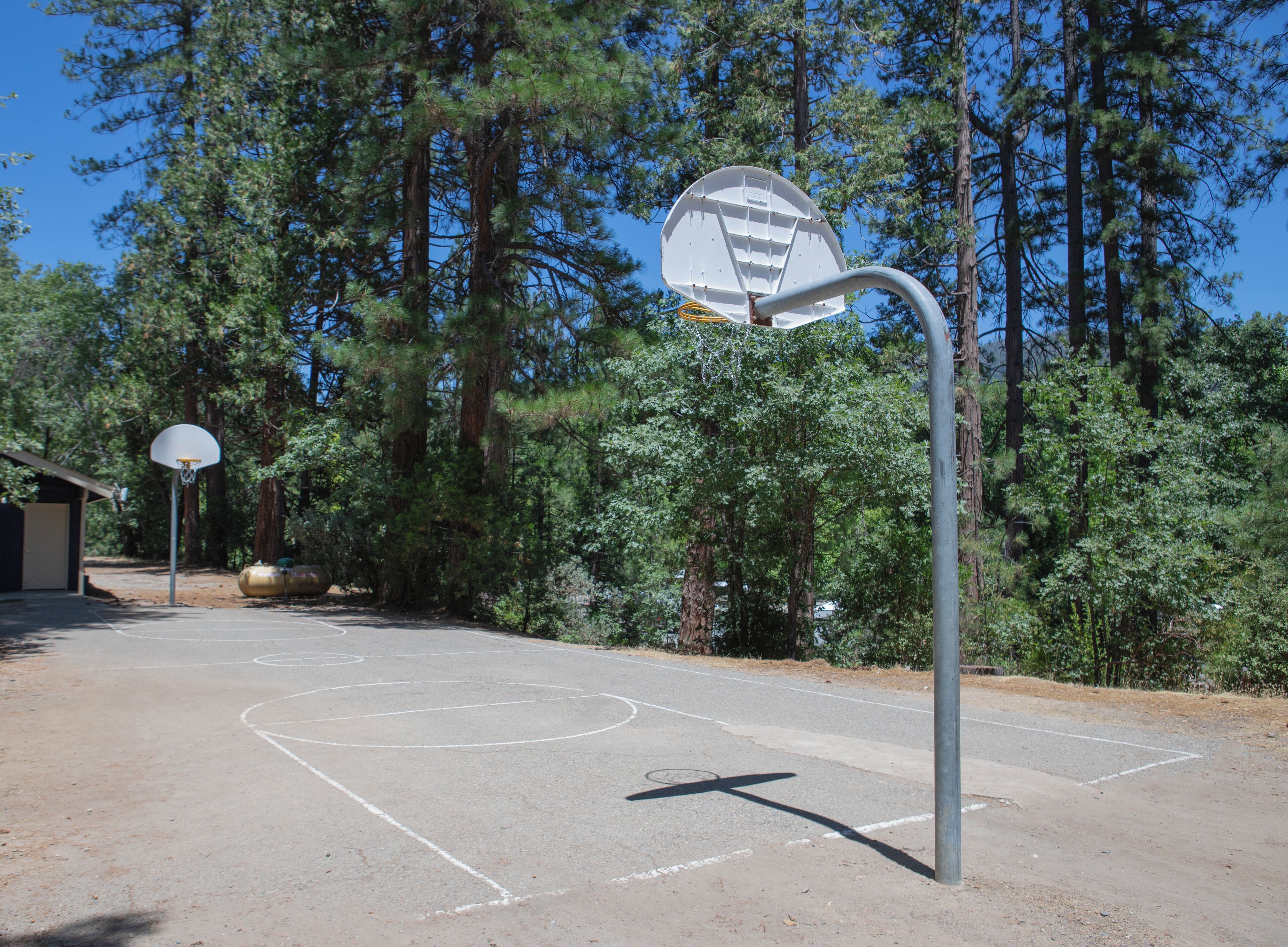 An outdoor basketball court with a hoop and a backboard, surrounded by trees.