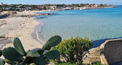 Location saisonniĂšre Lumio Ă 150m de la plage - Quartier Piazze