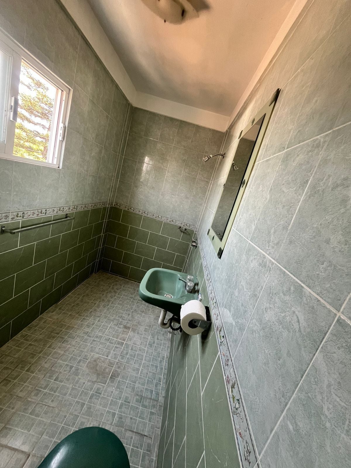 Une salle de bain avec un lavabo vert, des toilettes et une douche.