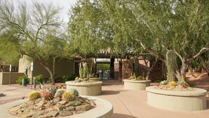 A courtyard with large planters containing cacti and succulents, surrounded by trees and a building entrance.