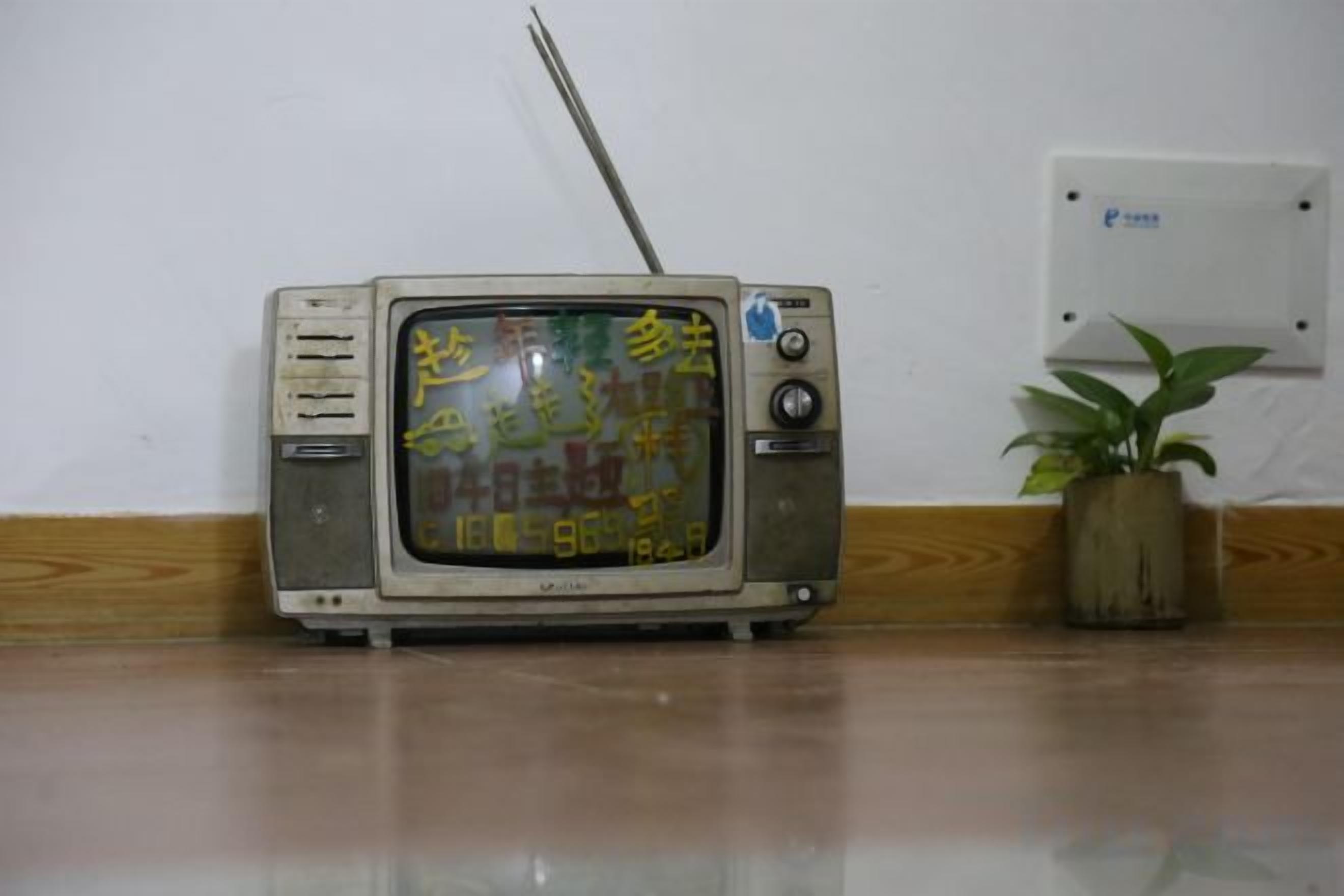 Un televisor antiguo con una planta a su lado.
