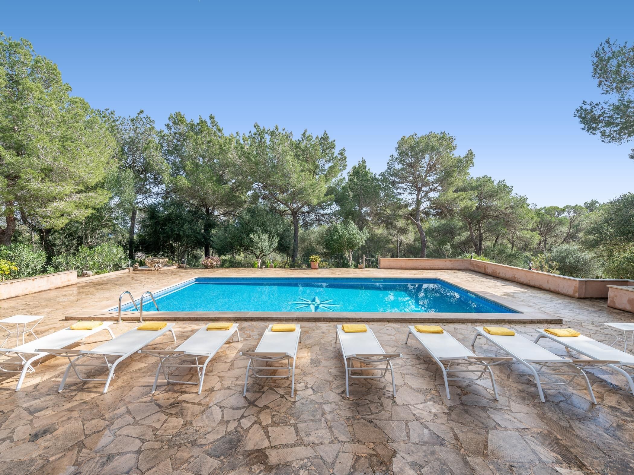 A rectangular outdoor swimming pool with a clear blue water surface, surrounded by stone flooring.