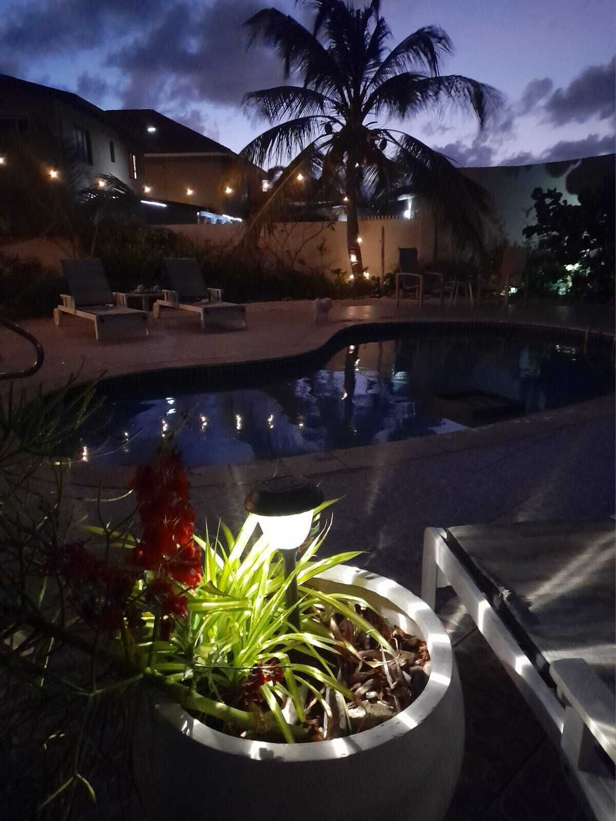 A pool area with lounge chairs and a palm tree.