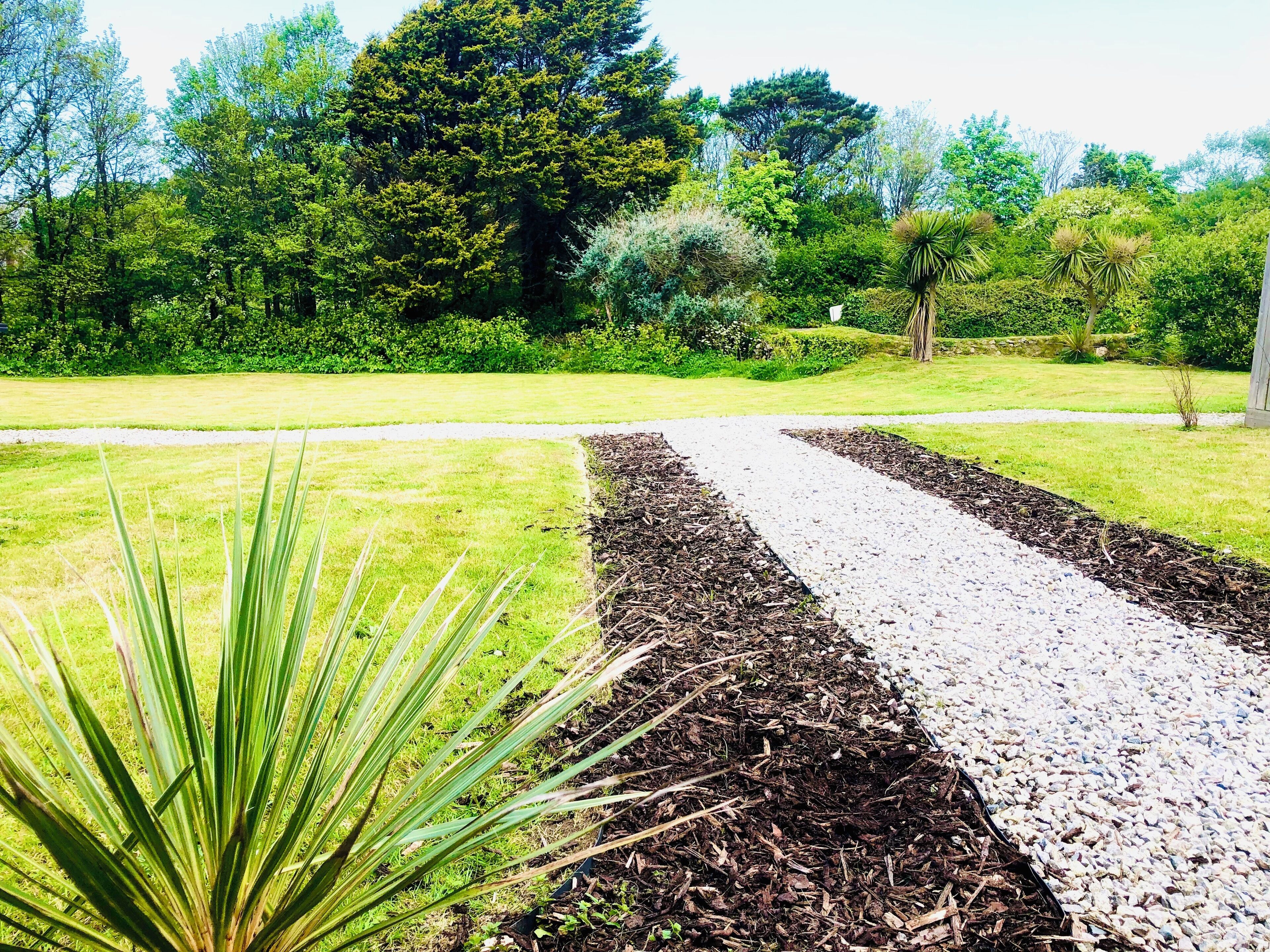A garden pathway with mulch borders and grass on either side, surrounded by various trees and shrubs.