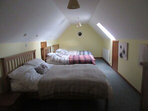 A bedroom with two beds, a sloped ceiling, a skylight, and a radiator.
