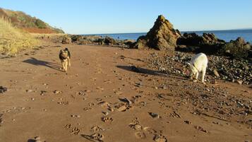 Exclusive Cottage, Private Bathroom | Beach