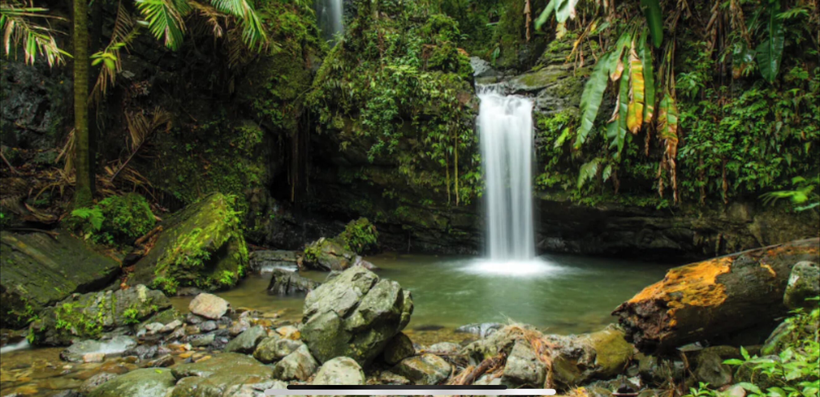 A waterfall in a lush, green forest setting with rocks and moss-covered surfaces.
