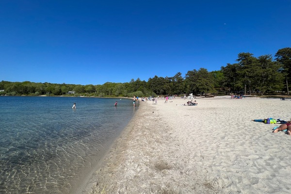 The Beach