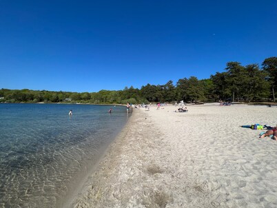 Tranquil Oasis: A Beautiful Water-Front Home